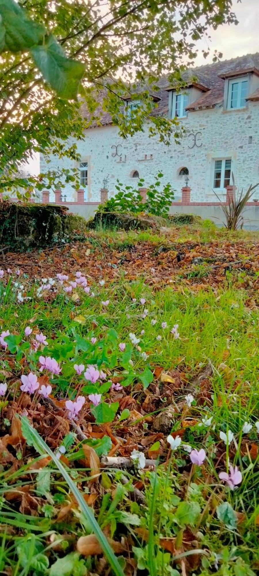 Gite & Chambre D'Hotes Du Moulin Villa Brûlon Esterno foto